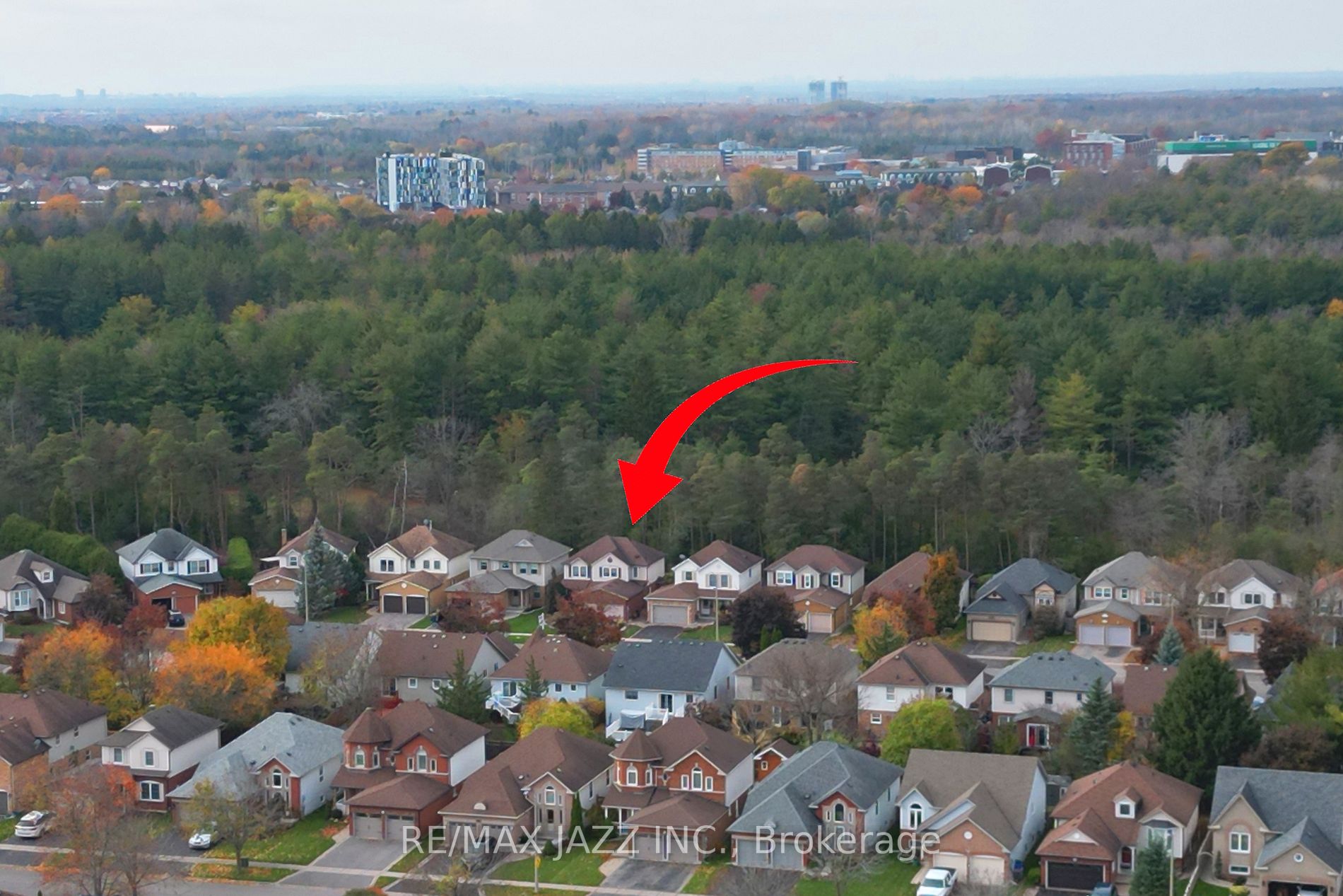 397 Elmwood Crt