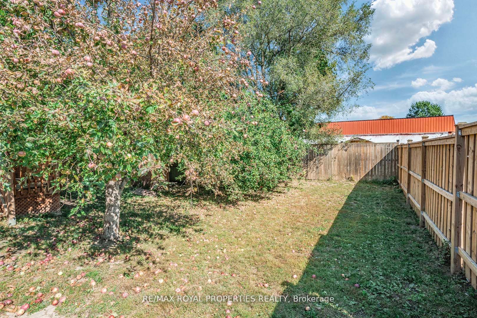 351 Highland Ave, #Bsmt