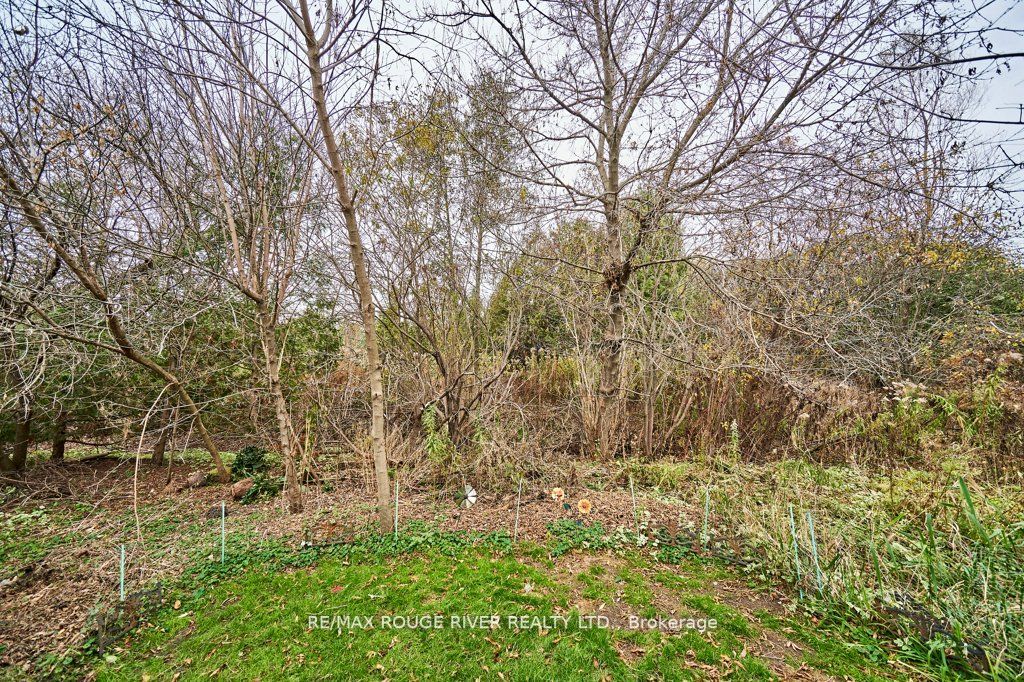 2800 Courtice Rd, #111