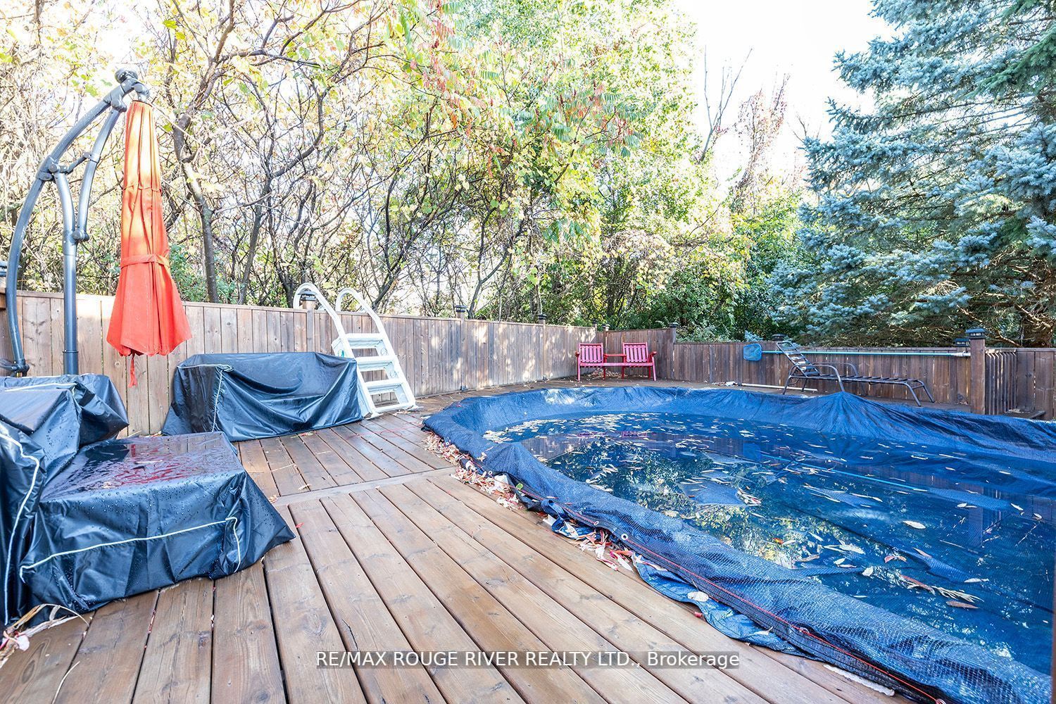 1154 Snowberry Crt
