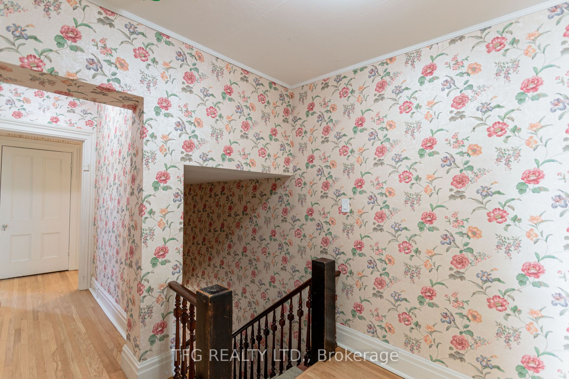 21 Elgin St