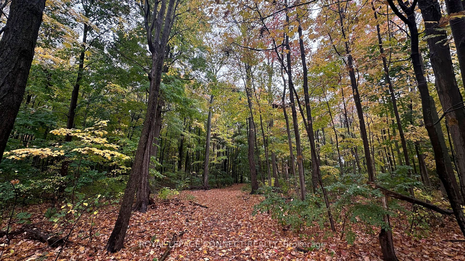 121 Ling Rd, #1403