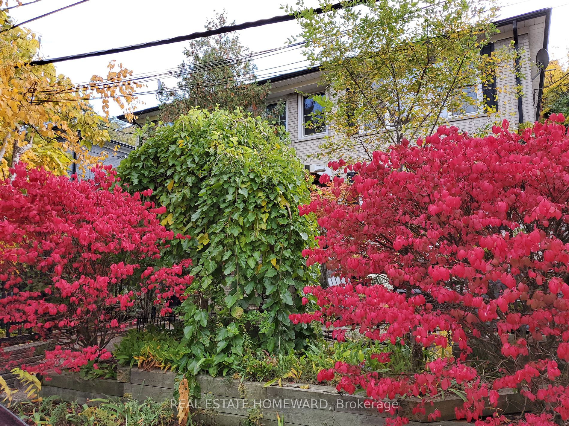 21 Love Crescent, #Upper