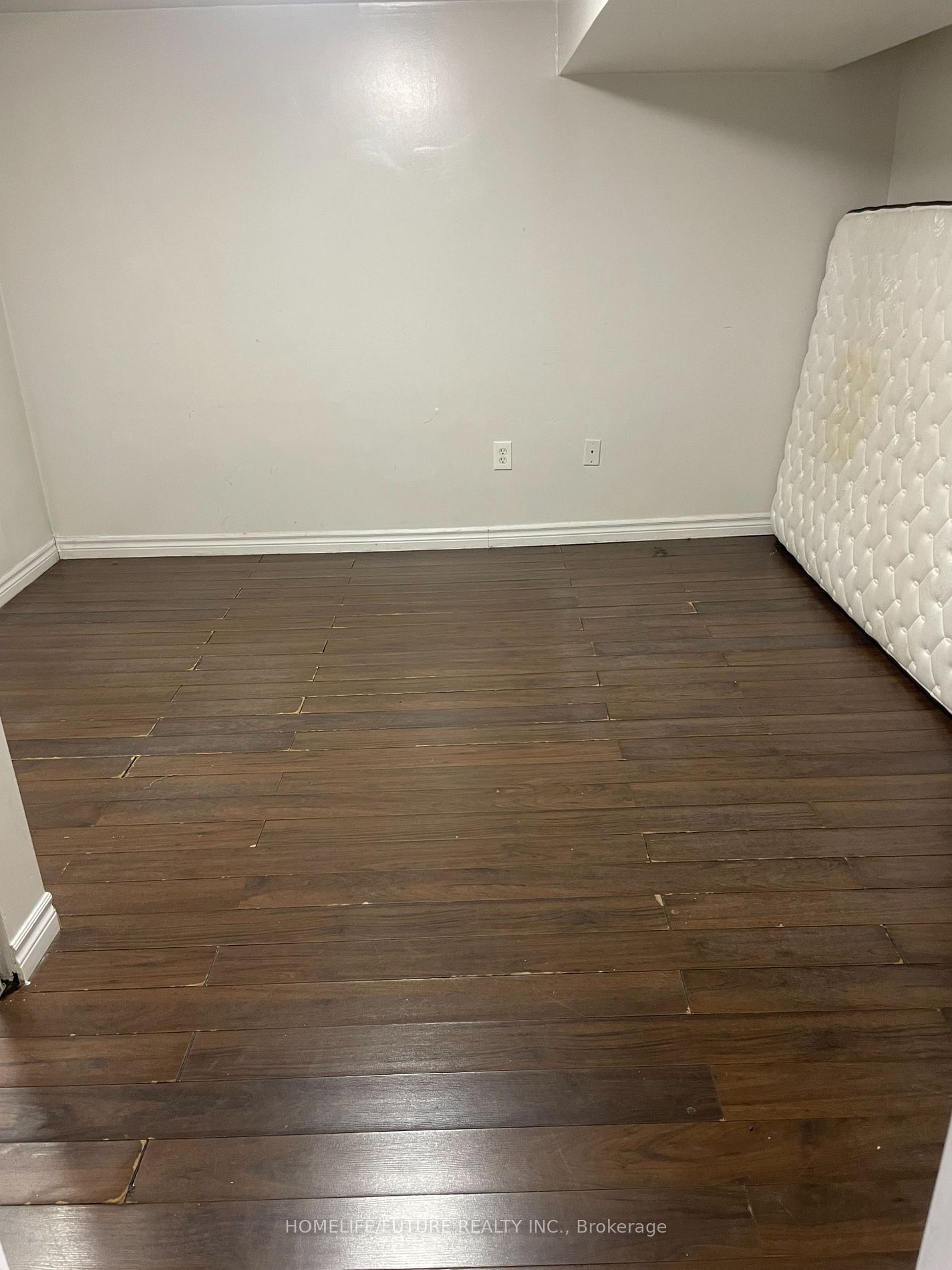 23 Bush Dr