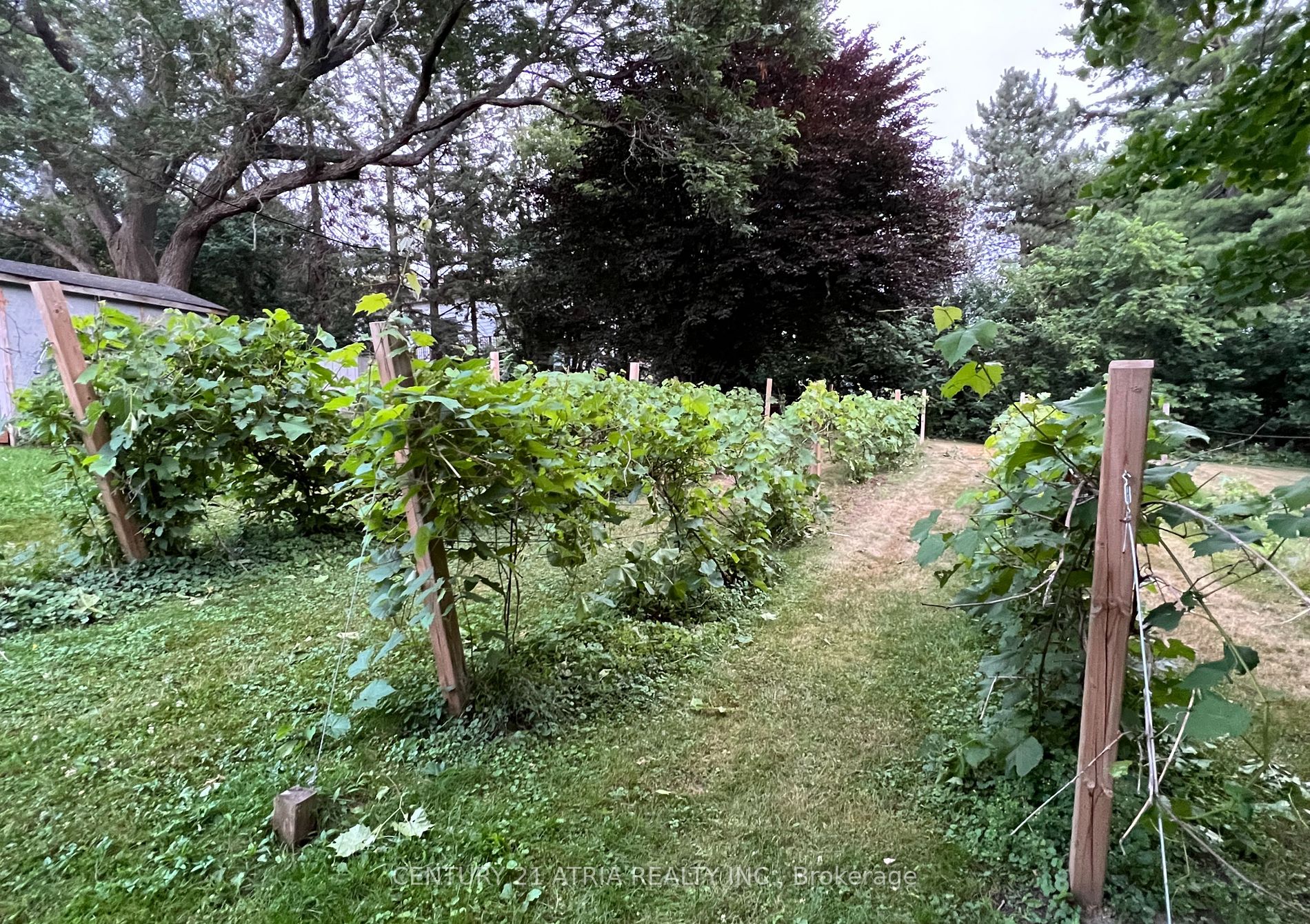 2415 6th Concession Road