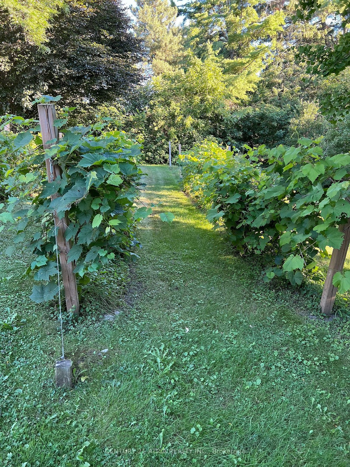 2415 6th Concession Road