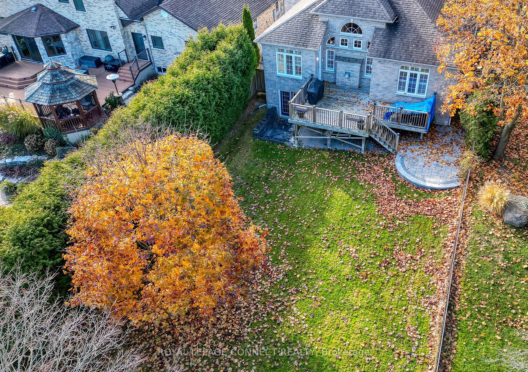467 Rougemount Dr