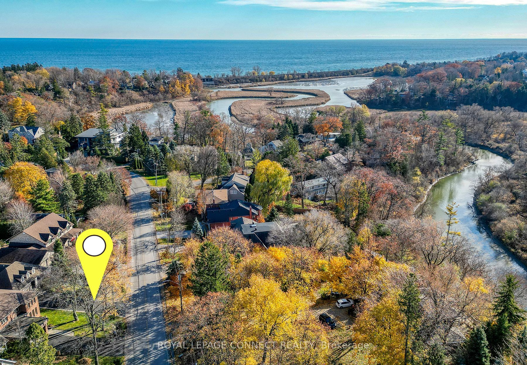 467 Rougemount Dr