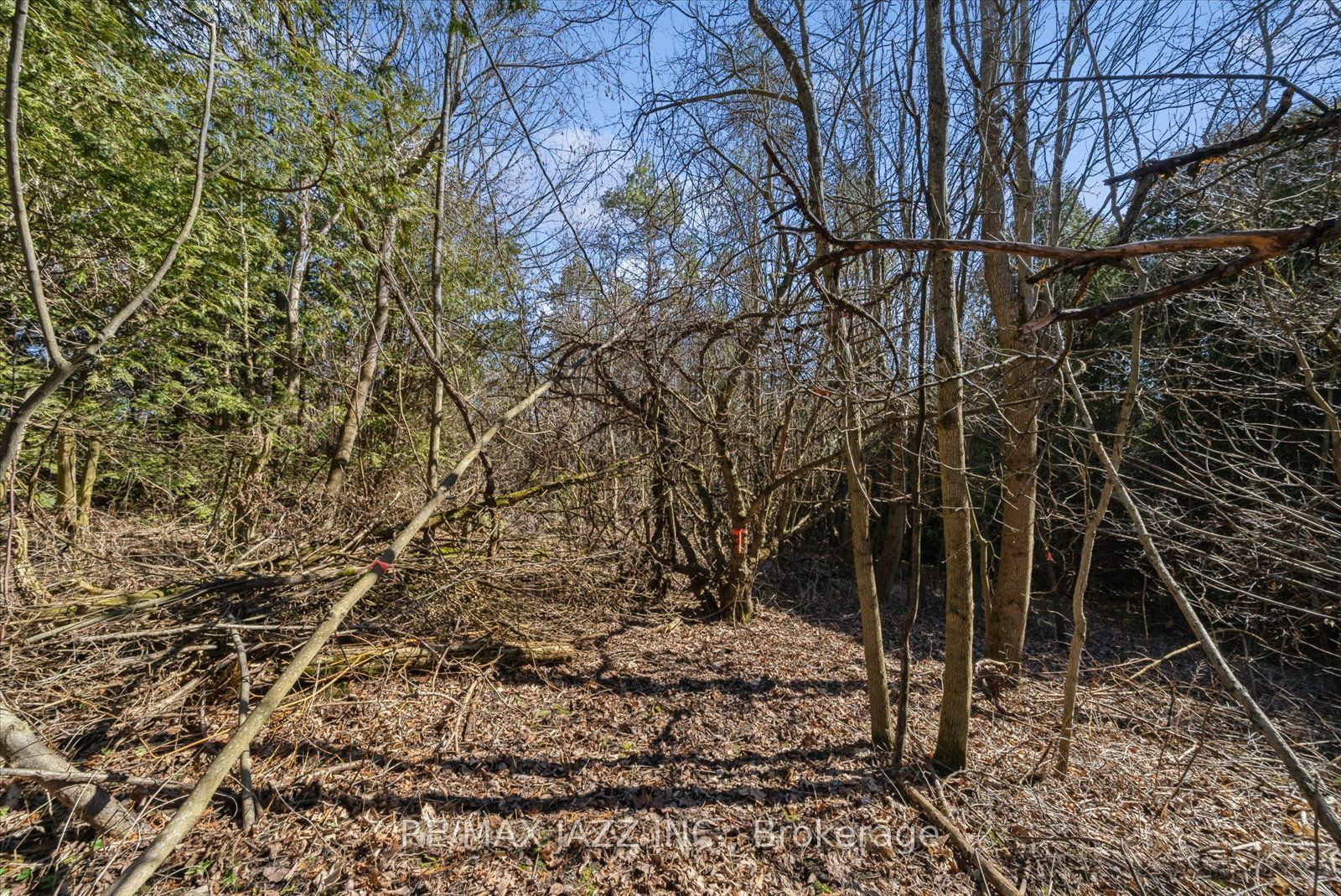 8733 Leskard Road