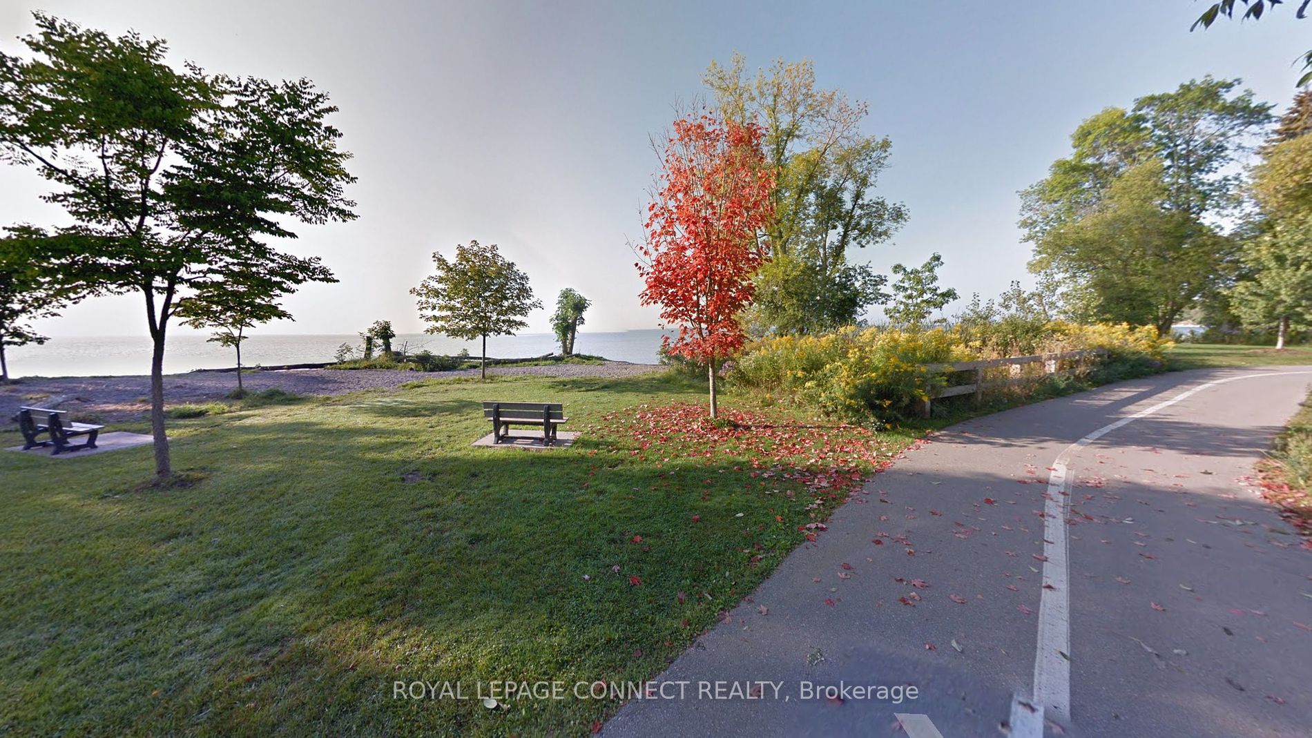 914 Lynx Ave, #Bsmt 1B