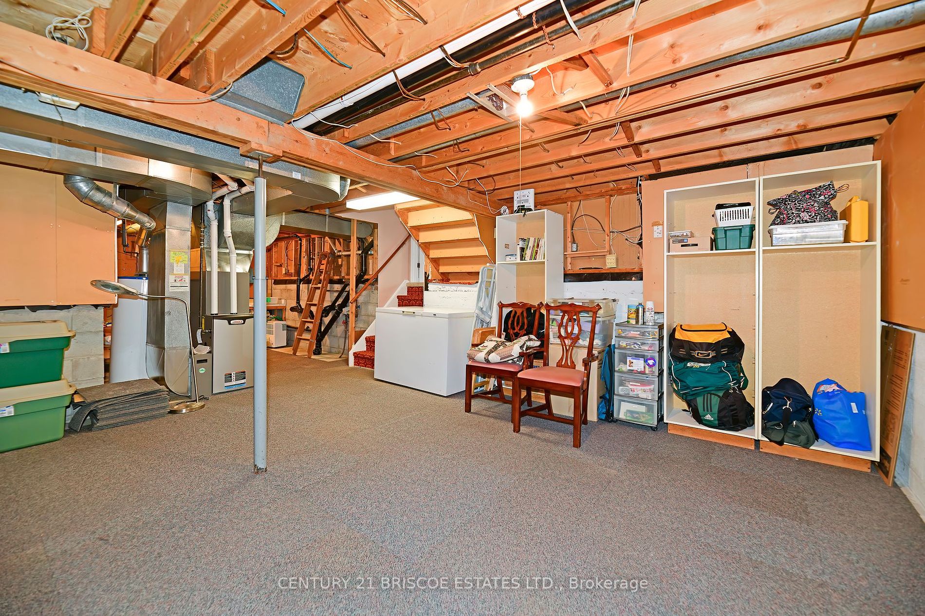 1171 Trillium Crt