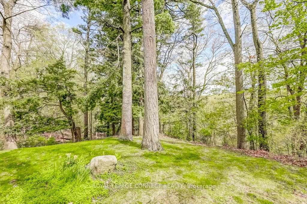74 Holmcrest Trail
