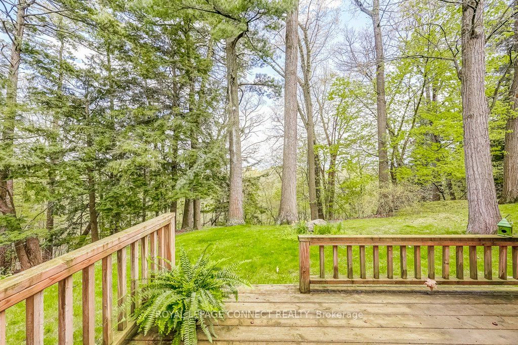 74 Holmcrest Trail