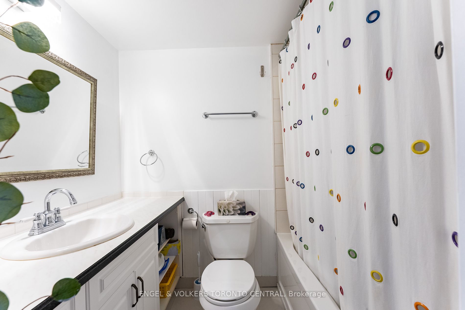 6 Cumberland Lane, #3