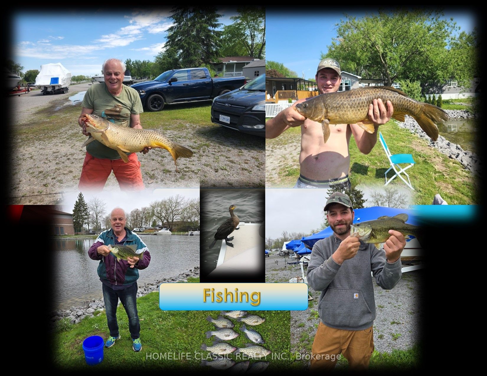 225 Platten Boulevard