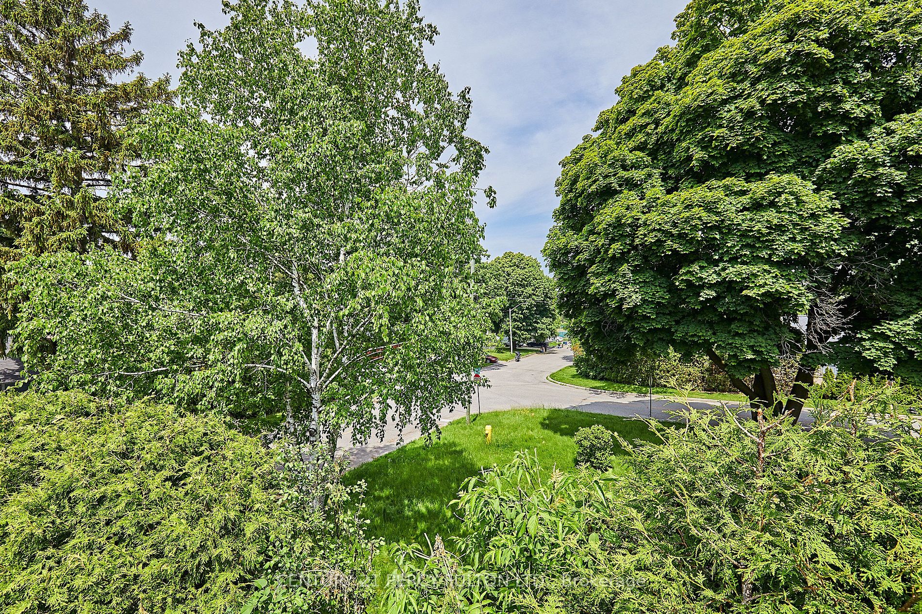 45 Tudor Ave