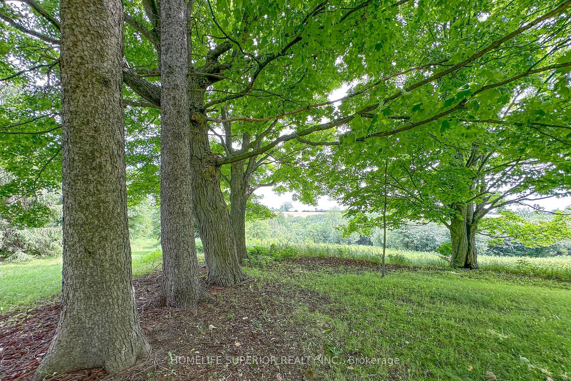 2419 Regional Road 20
