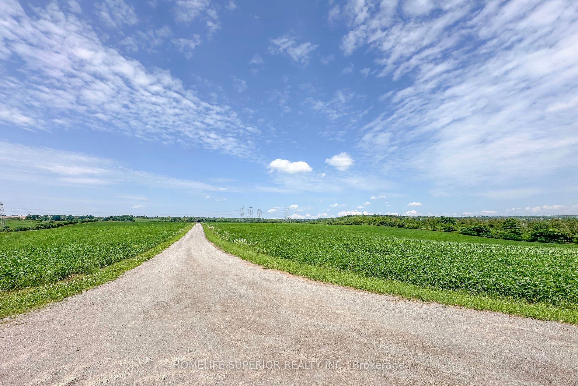 2419 Regional Road 20