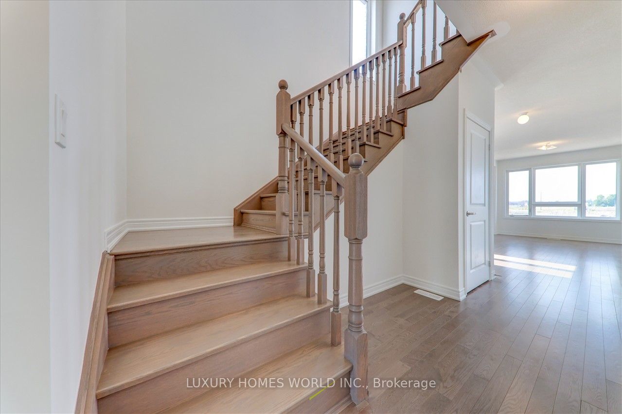 85 Armilia Place