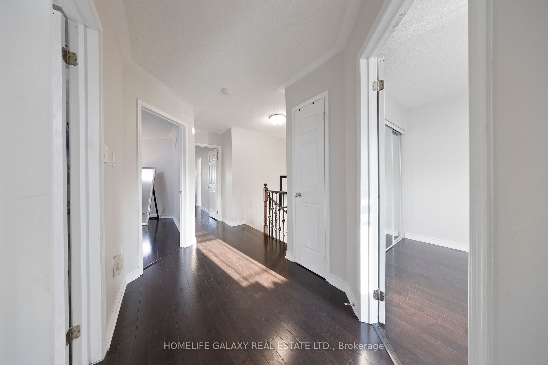 45 Palomino Place