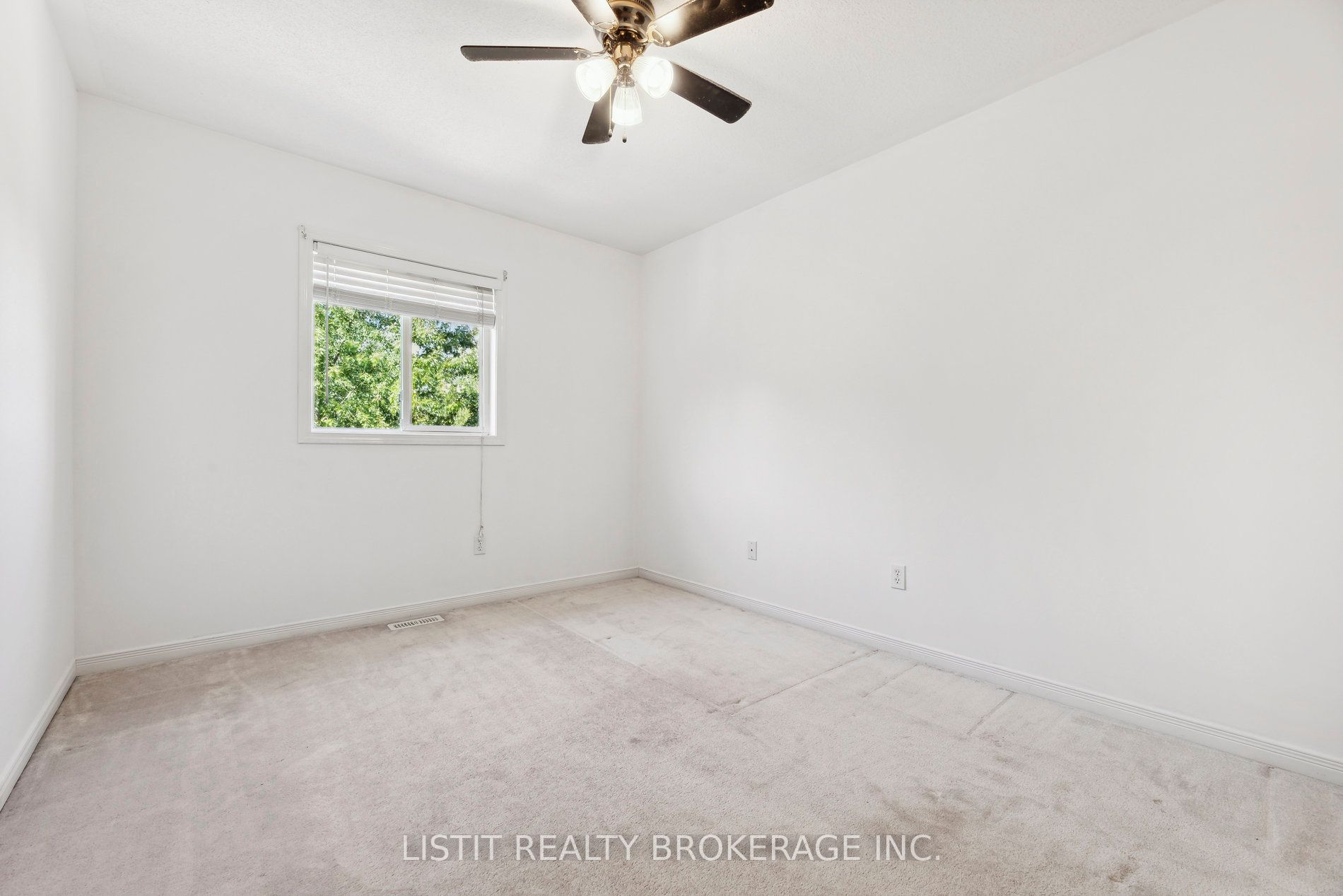 20 Milligan St