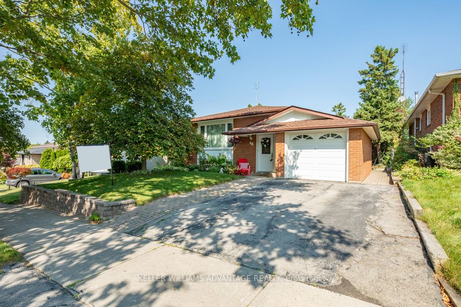 48 Angora St
