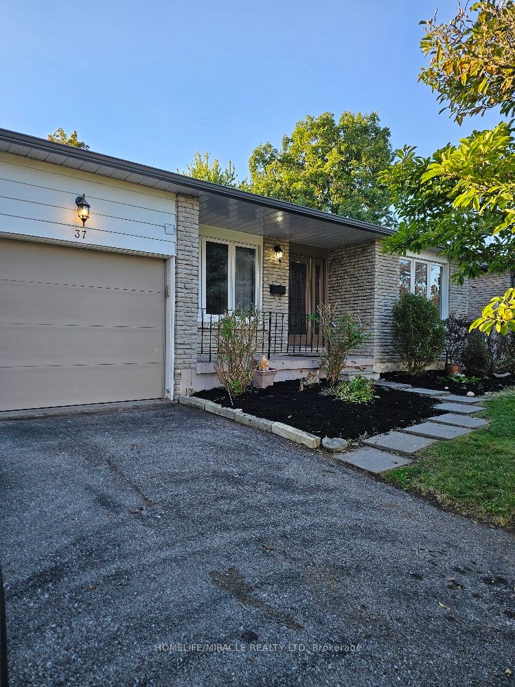 37 Harland Cres, #Main