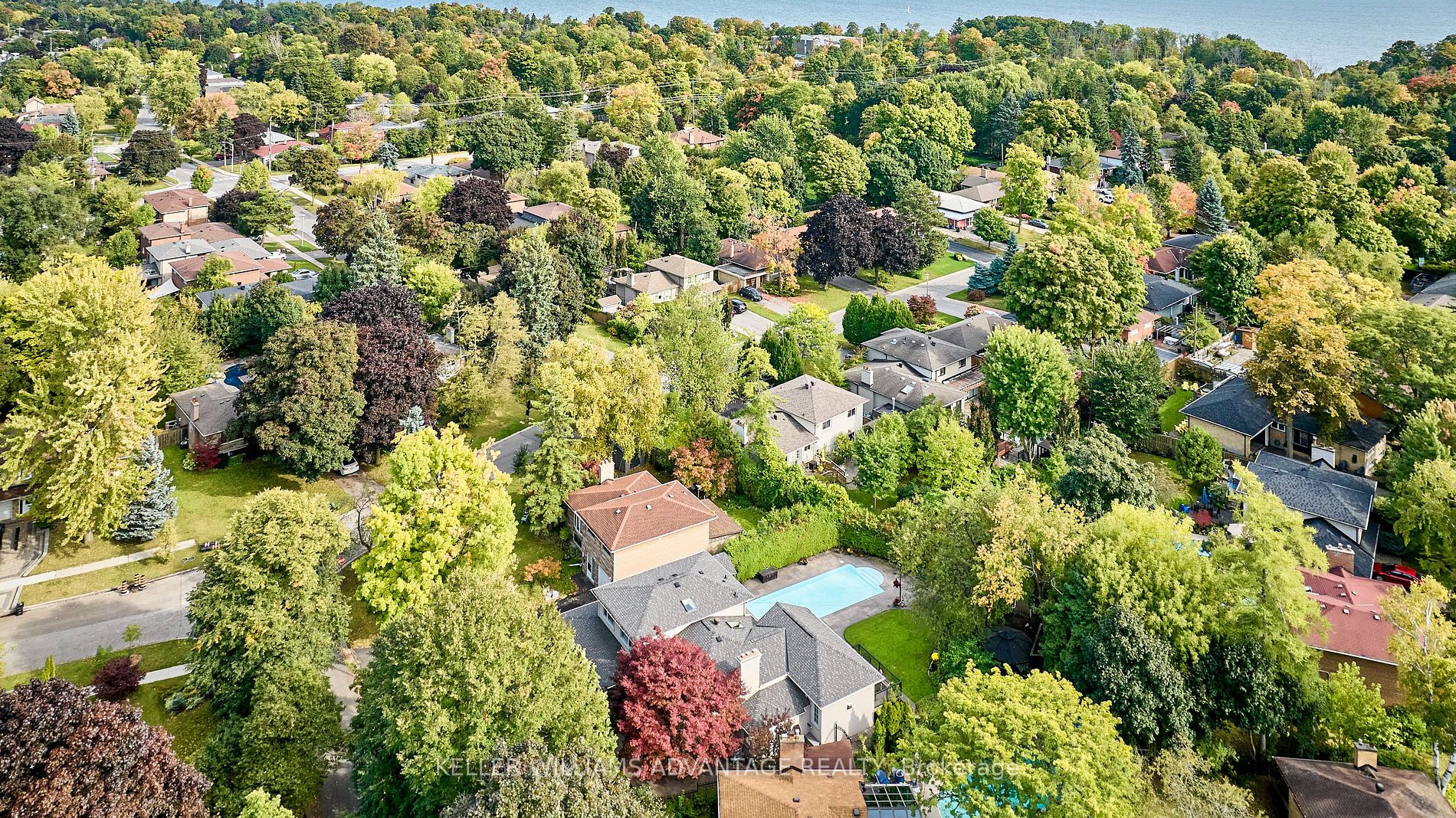 3 Wythenshawe Wood
