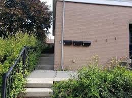 507 Colborne St W, #Lower
