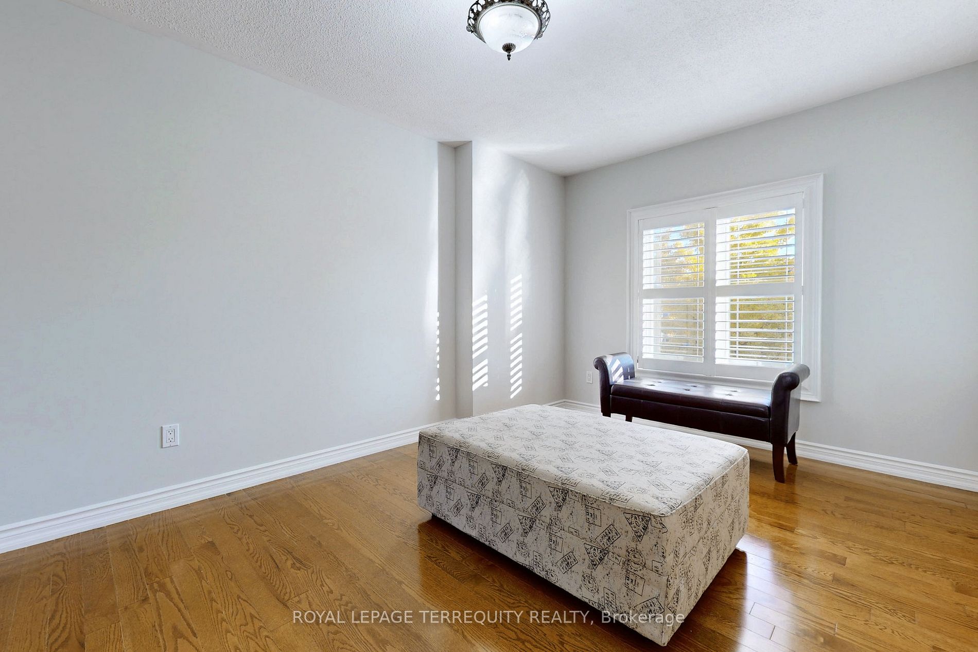 12 William Davidson St