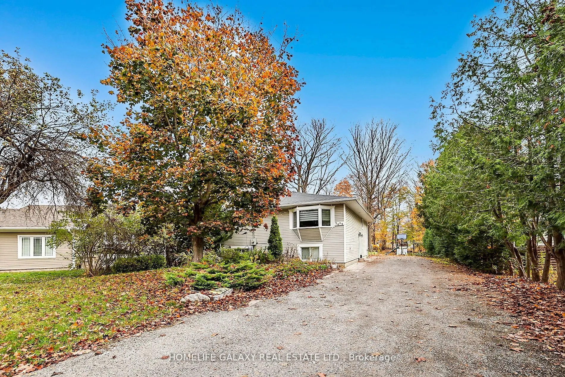 2049 Kate Ave