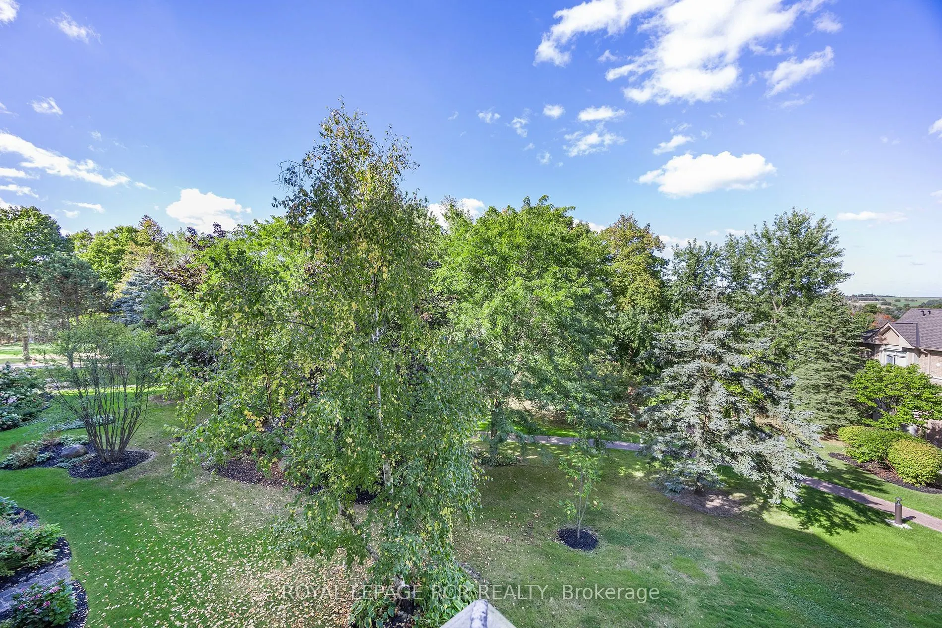 4 Briar Hill Heights, #205