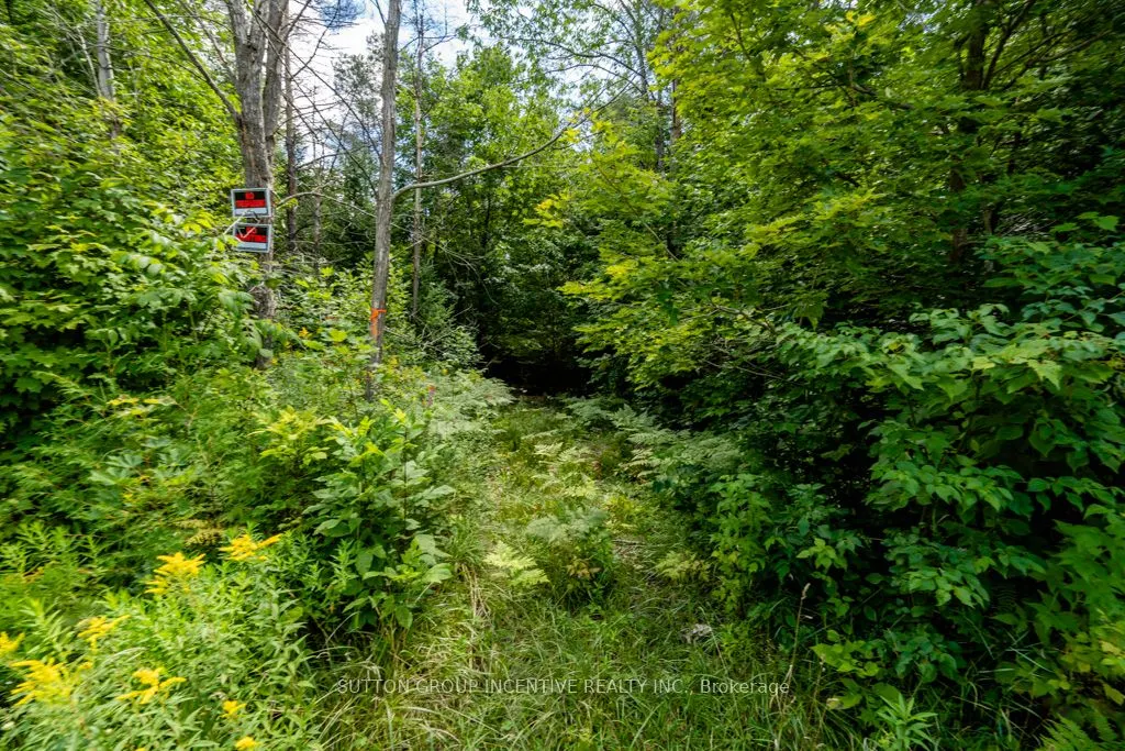 5349 30th Side Road