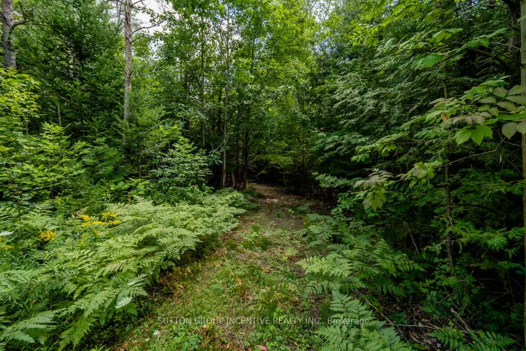5349 30th Side Road