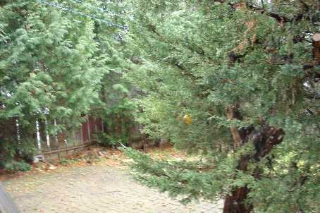 85 Aurora Heights Dr