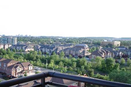 310 Red Maple Rd, #1203