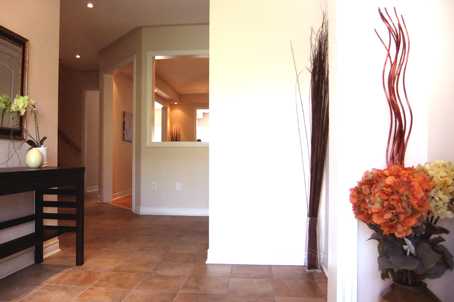 87 Serene Way