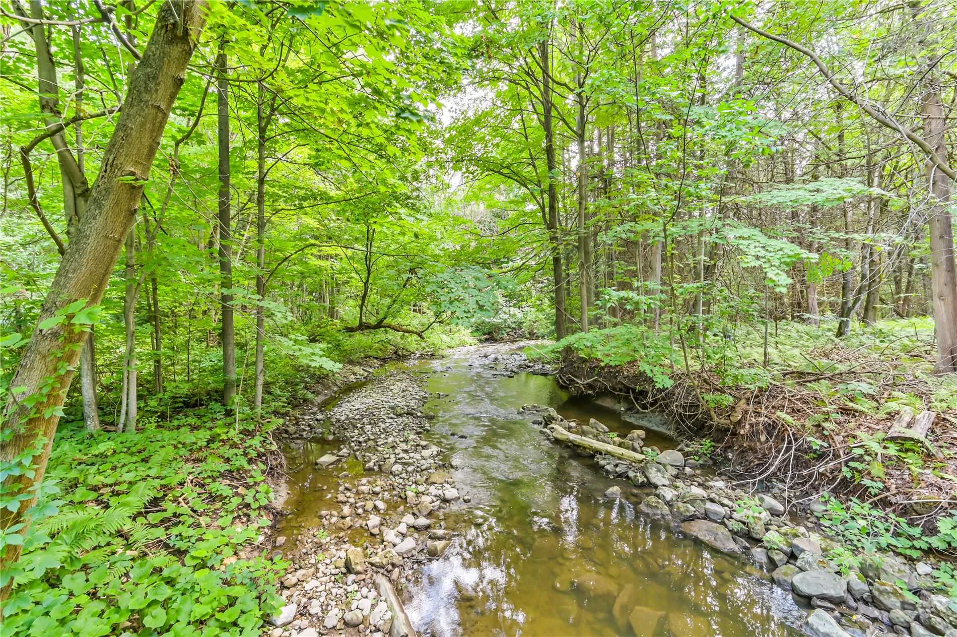 Listing N4959168 - Large Photo # 39