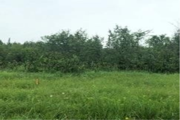 Lot 12 Innisfil Beach Rd, Innisfil