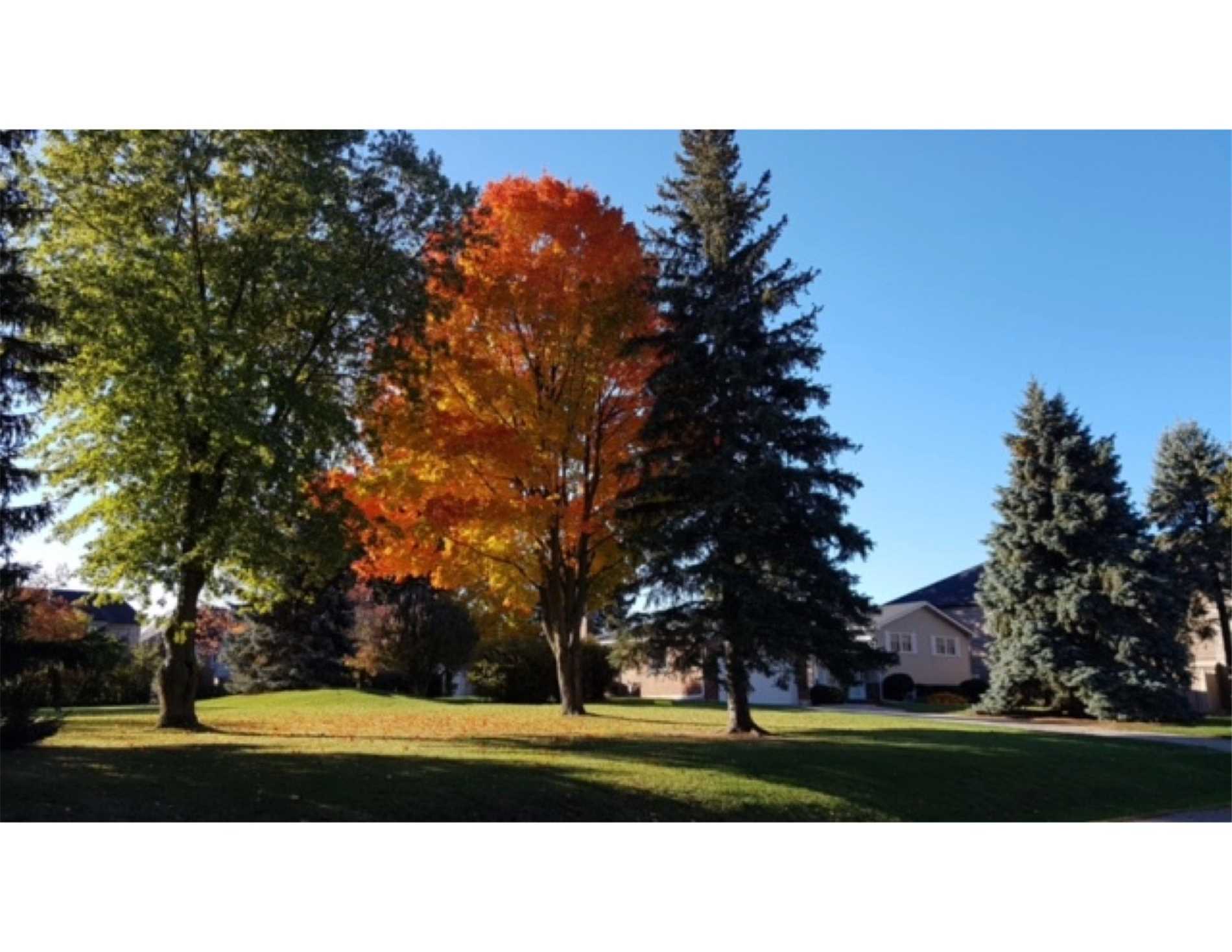 21 Long Hill Dr