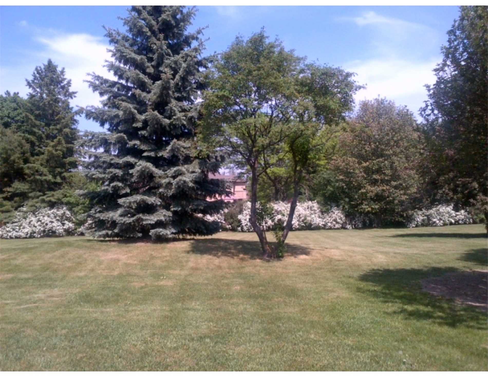 21 Long Hill Dr