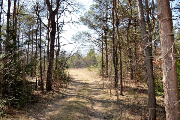 21938 York Durham Line, East Gwillimbury