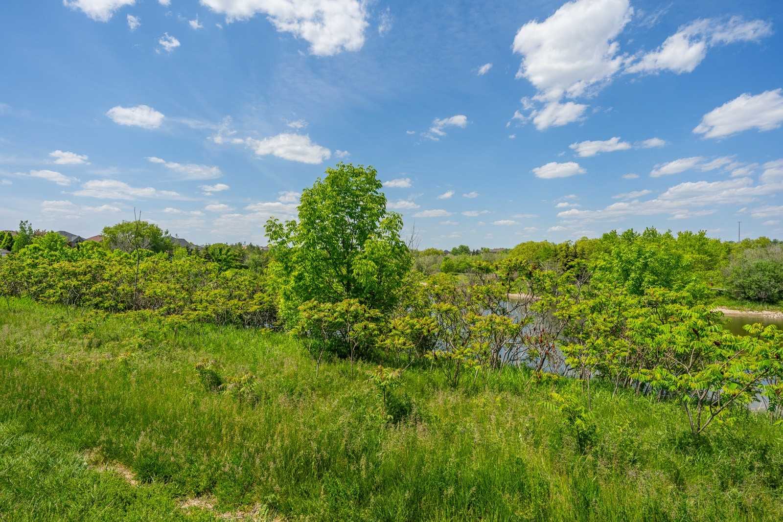 52 Sunview Dr