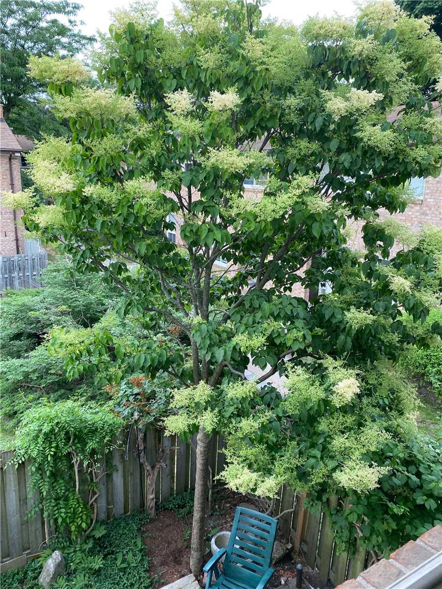 1 Wootten Way S #32