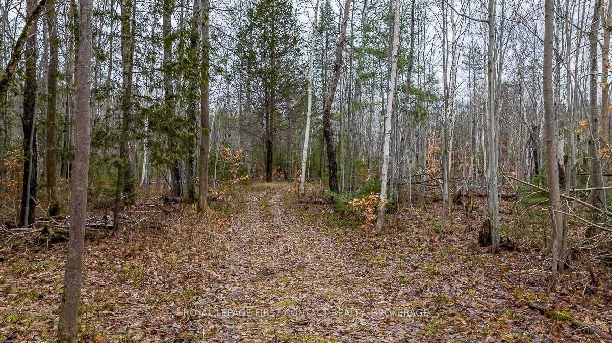 Listing N5292672 - Large Photo # 27