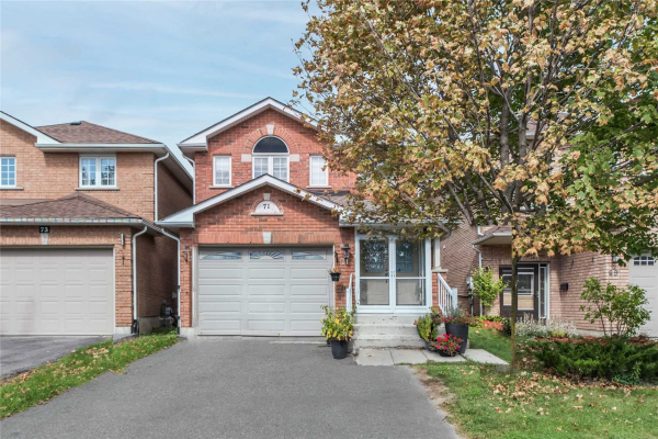 71 Clearmeadow Blvd, Newmarket