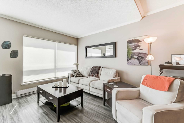 249 Major Mackenzie Dr E, Richmond Hill