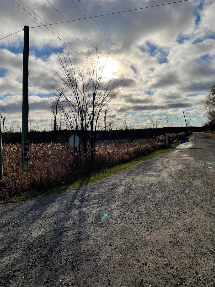 Listing N5404855 - Large Photo # 3