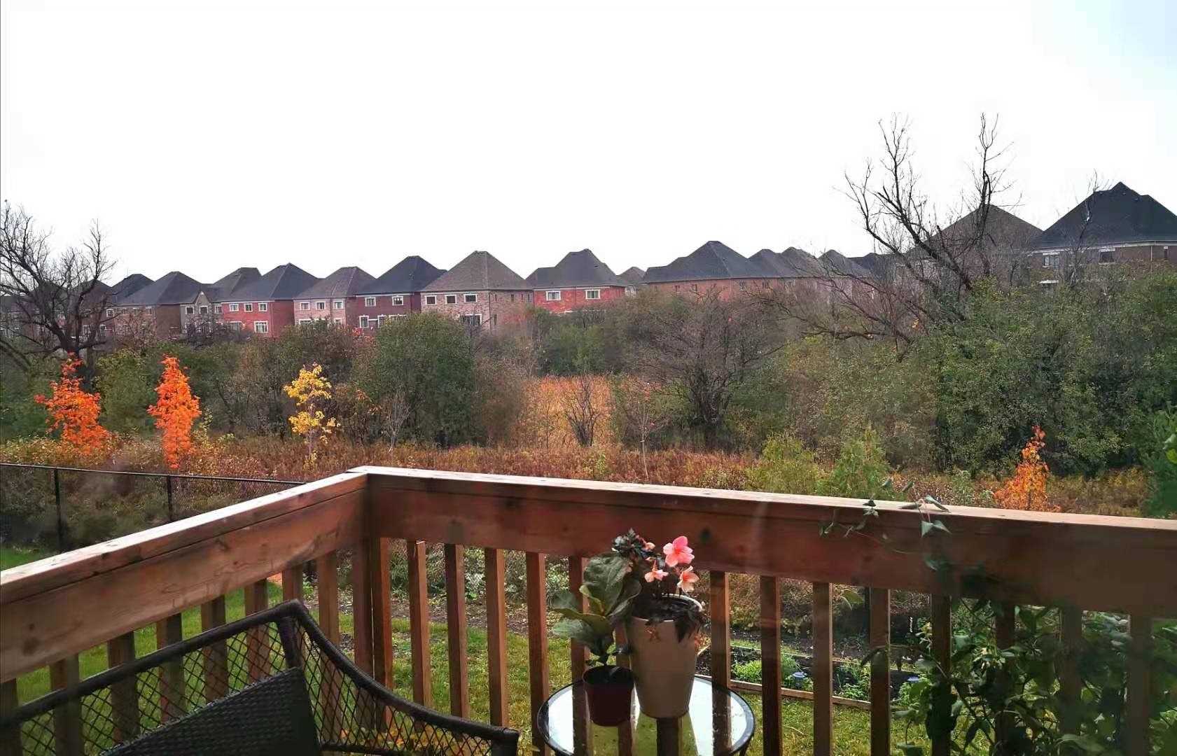 60 Elyse Crt