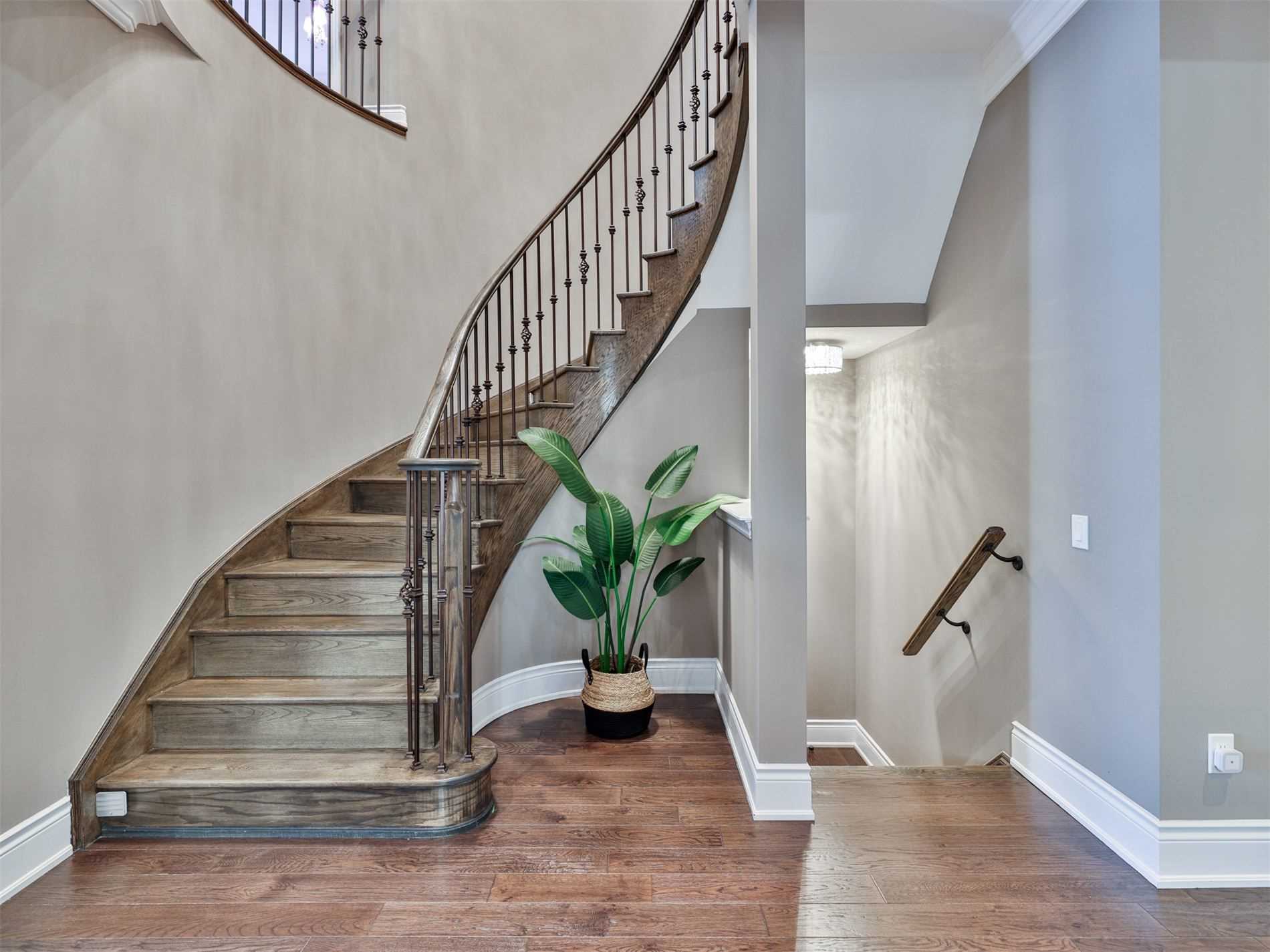 19 Mower Ave